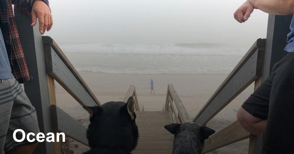 thumbnail image for Ocean photo gallery